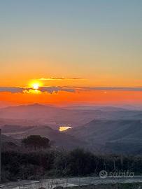 Uliveto panoramico con rustico - Piazza Armerina