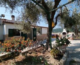 Moderna Villetta a 50m dal mare