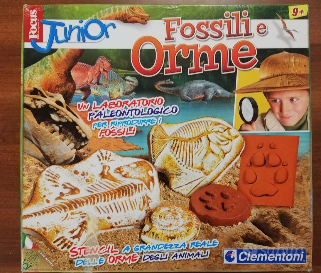 Giochi di fossili Vendita in Tutto per i bambini