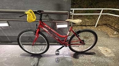 Mtb Frejus e city bike im blocco
