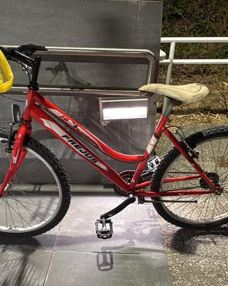 Mtb Frejus e city bike im blocco