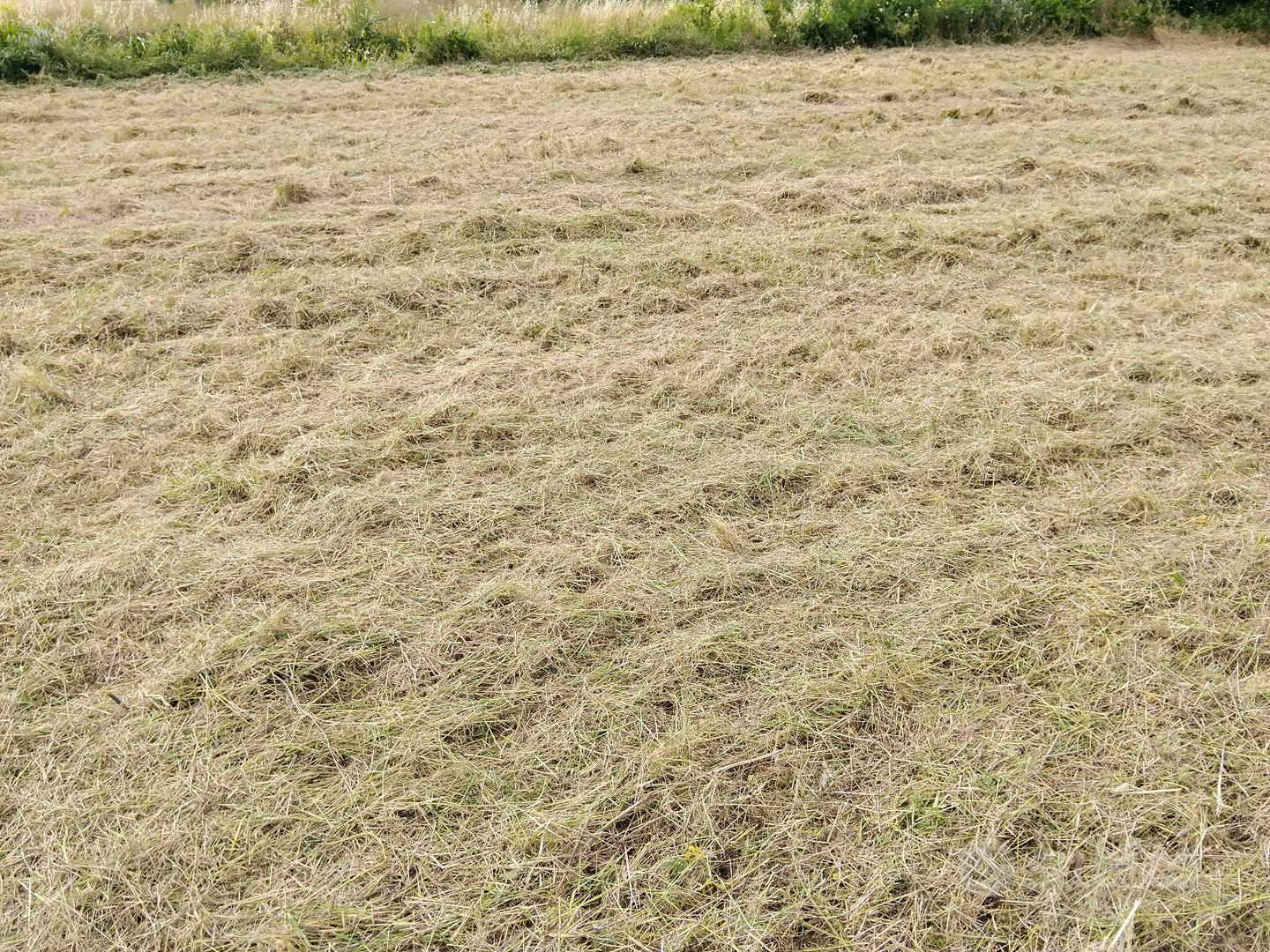 Terreno agricolo - Vista 2
