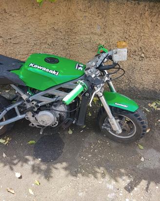 minimoto