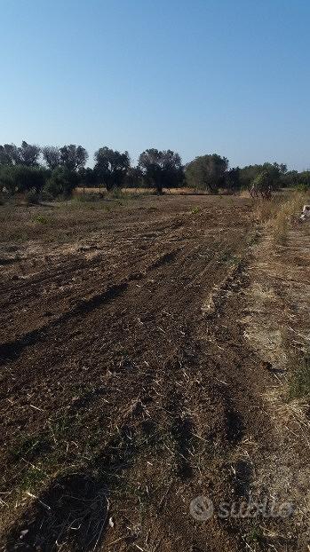 Terreno agricolo edificabile - Vista 5