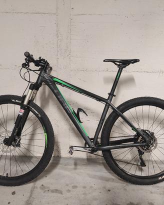 MTB 29 Cube Race One