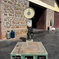 Bilancia Industriale ad Orologio Bizerba 300 kg