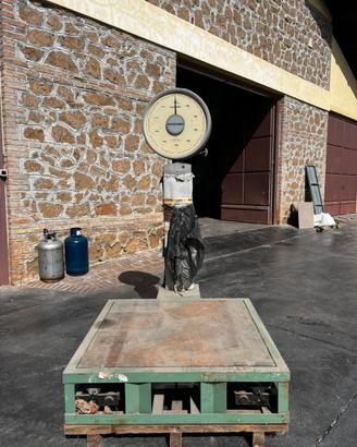 Bilancia Industriale ad Orologio Bizerba 300 kg