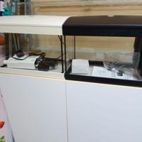 acquarietti