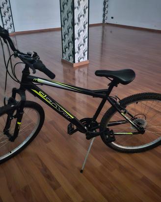 mountain bike