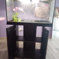 🐠ACQUARIO X PESCI TROPICALI con termostato🐟