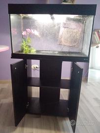 🐠ACQUARIO X PESCI TROPICALI con termostato🐟