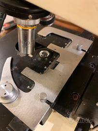 Microscopio Paralux