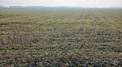 RGE 381/2023 Tribunale Verona - Lotto 10)