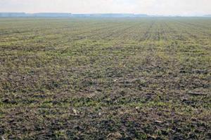 RGE 381/2023 Tribunale Verona - Lotto 10)