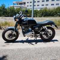 Mash Black Seven 250 - 2018