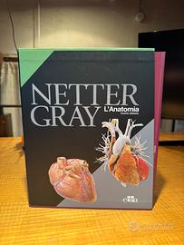 Netter Gray anatomia umana
