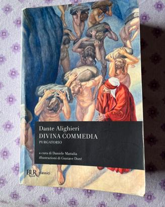 La divina commedia,Il Purgatorio