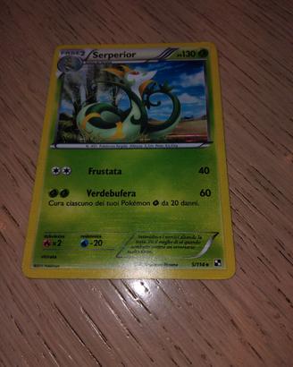 carta pokemon 
