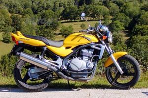 KAWASAKI ER 500