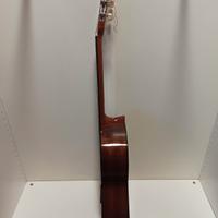 Chitarra acustica
