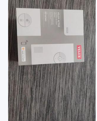 Kix 300 VELUX Active with Netatmo