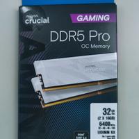 Ram Crucial Pro DDR5 32GB CL32 6400MHz bianca