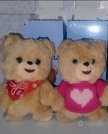 Cocco bears nuovi.