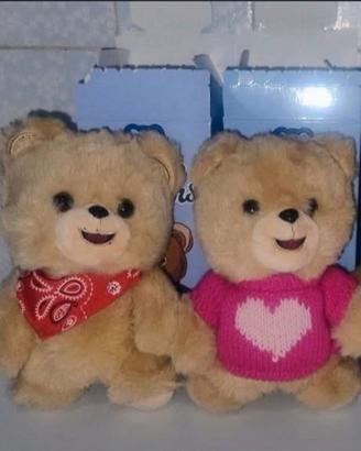Cocco bears nuovi.