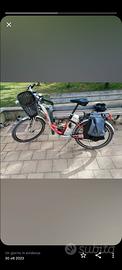 bicicletta elettrica a pedalata assistita 
