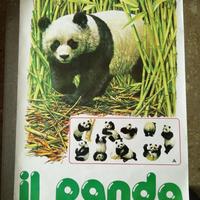 Poster il Panda