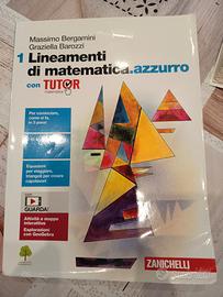 lineamenti di matematica. azzurro 1