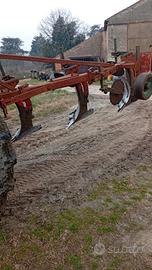 Aratro quadrivomere Vogel & Noot