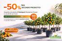 promozione-speciale-kumquat-