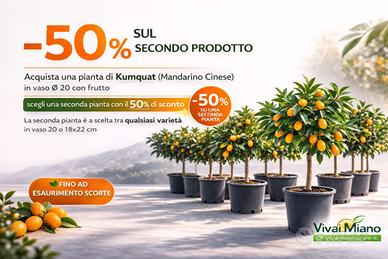 Promozione Speciale Kumquat 🍊