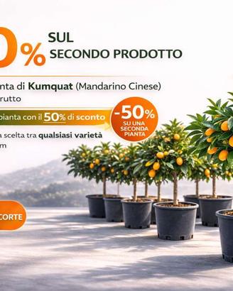 Promozione Speciale Kumquat 🍊