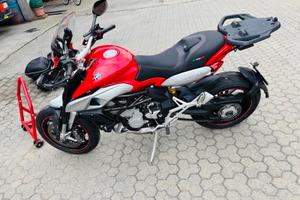 Mv agusta stradale 800