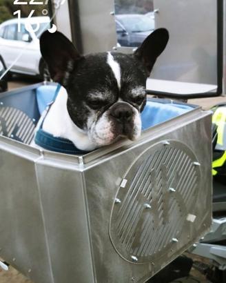 trasportino per cani