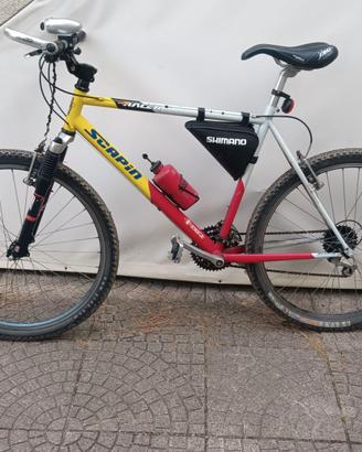 mtb  scapin