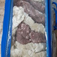 Tenda da campeggio Roulotte-Camper 56x185