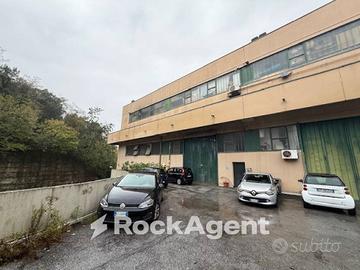 CAPANNONE MOLAZZANA GENOVA