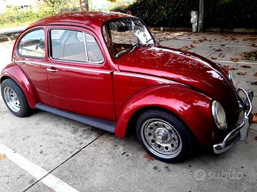 Volkswagen Maggiolino muscle