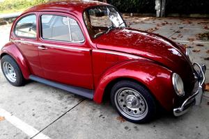 Volkswagen Maggiolino muscle