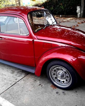 Volkswagen Maggiolino muscle