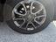 Immagine 13
