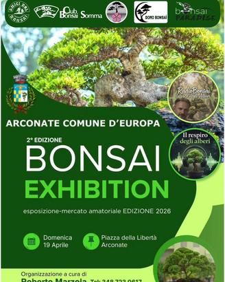 Arconate in fiore