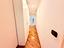 Immagine 24