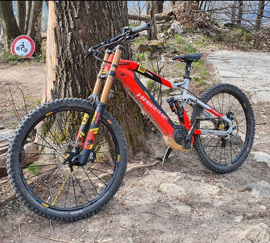 Haibike 10.0 downhill mtb Biciclette In vendita a Como