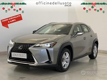 Lexus UX 250 2.0 hybrid business 2wd power split d