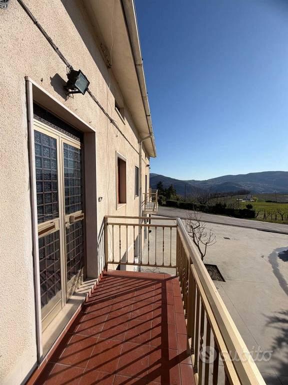 Rustico / Casale di 400 m² con più di 5 locali e b - Vista 5