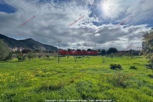 Terreno, Pallavicino - San Filippo Neri, Palermo.